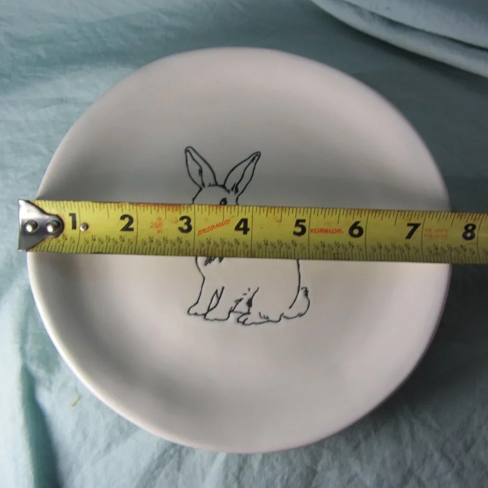 3 for $40 - pier 1 easter bunny rabbit plate (w1794)